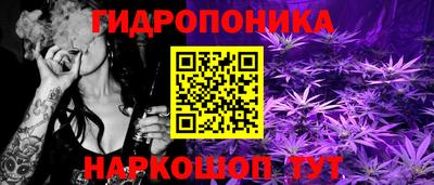 бошки Севастополь