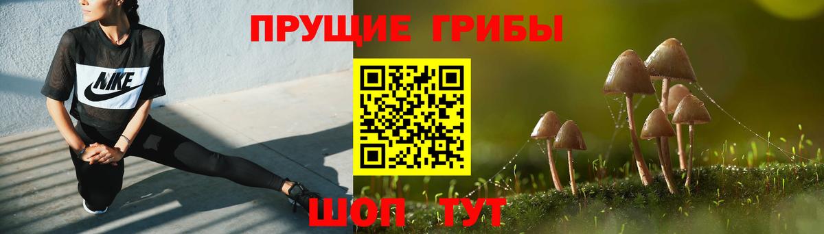 Печора  цена   Вход с VPN  Галлюциногенные грибы MAGIC MUSHROOMS 